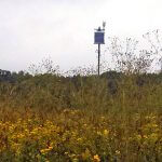 natural habitat restoration