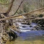 mountain stream monitoring