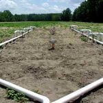 CO2 plant yield