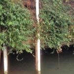 Karst System Groundwater Monitoring