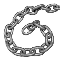 NexSens Galvanized Chain