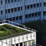 Green Roof Monitoring