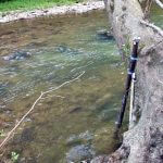 Brushy Creek Designated Uses