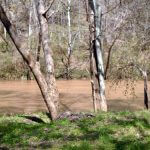 Green River Water Quality Network