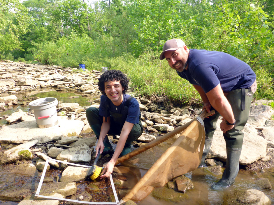 Intern Matteo Ortiz sampling macroinvertebrates in an Ohio River tributary. (Liz Fet / Sanitation District No. 1)