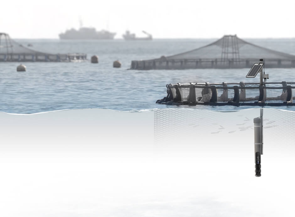 Cage Aquaculture Monitoring
