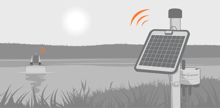 Illustration of a buoy and land based NexSens system in a wetlands. Both systems are equipped with solar panels.