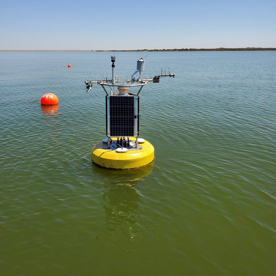 Buoy on Choke Canyon Reservoir.
