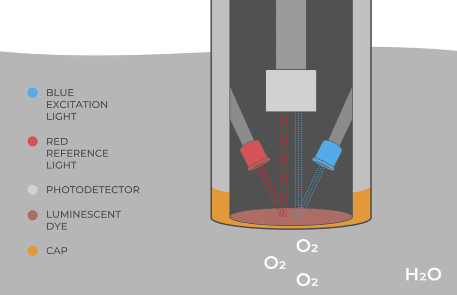 3 3 Dissolved Oxygen NexSens