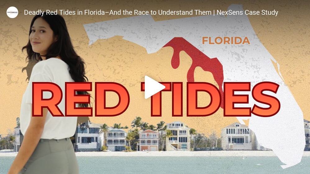YouTube video thumbnail.