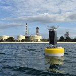 Buoys listening for marine mammals in Whangārei Harbor.